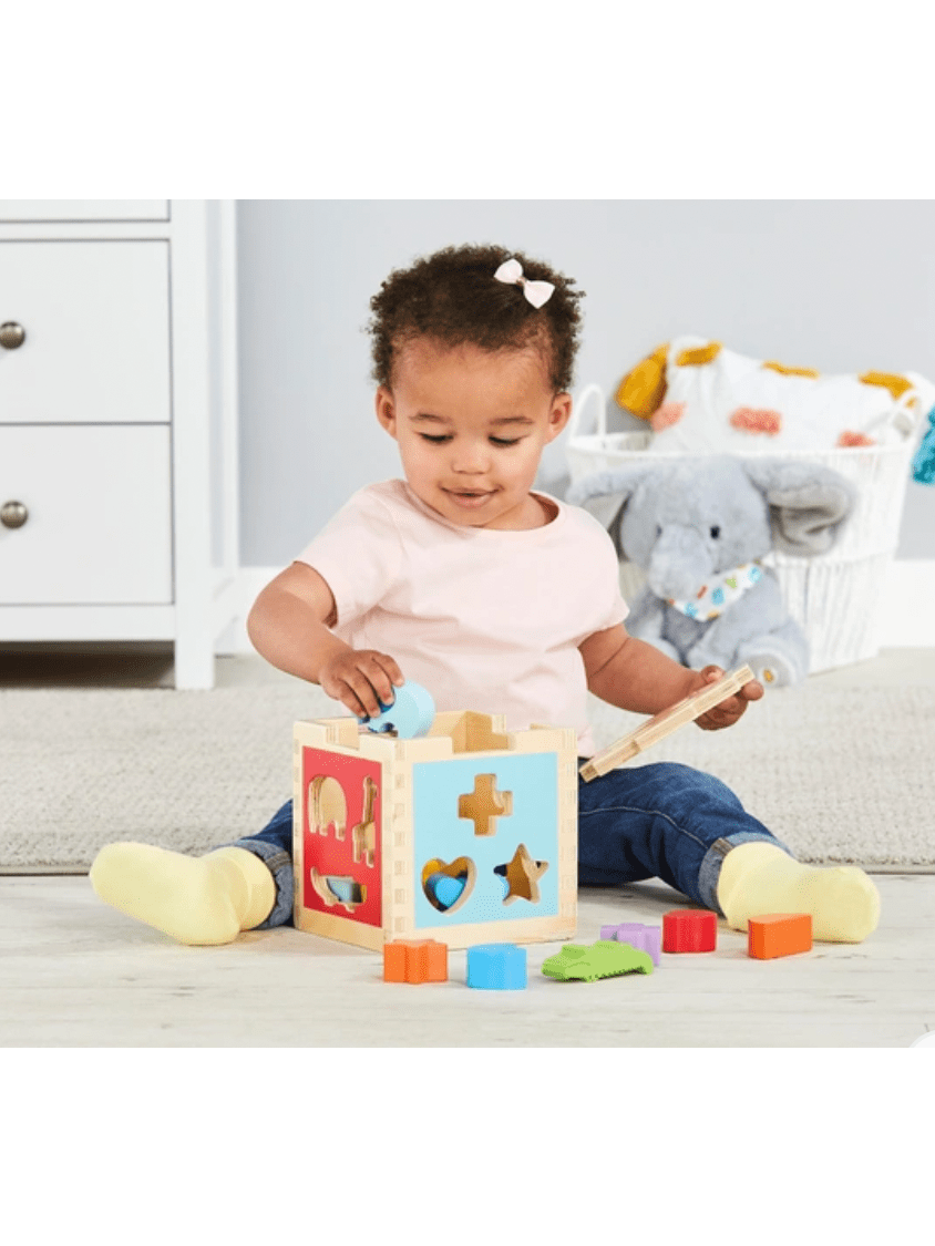 Squirrel Play Wooden Sorting Cube