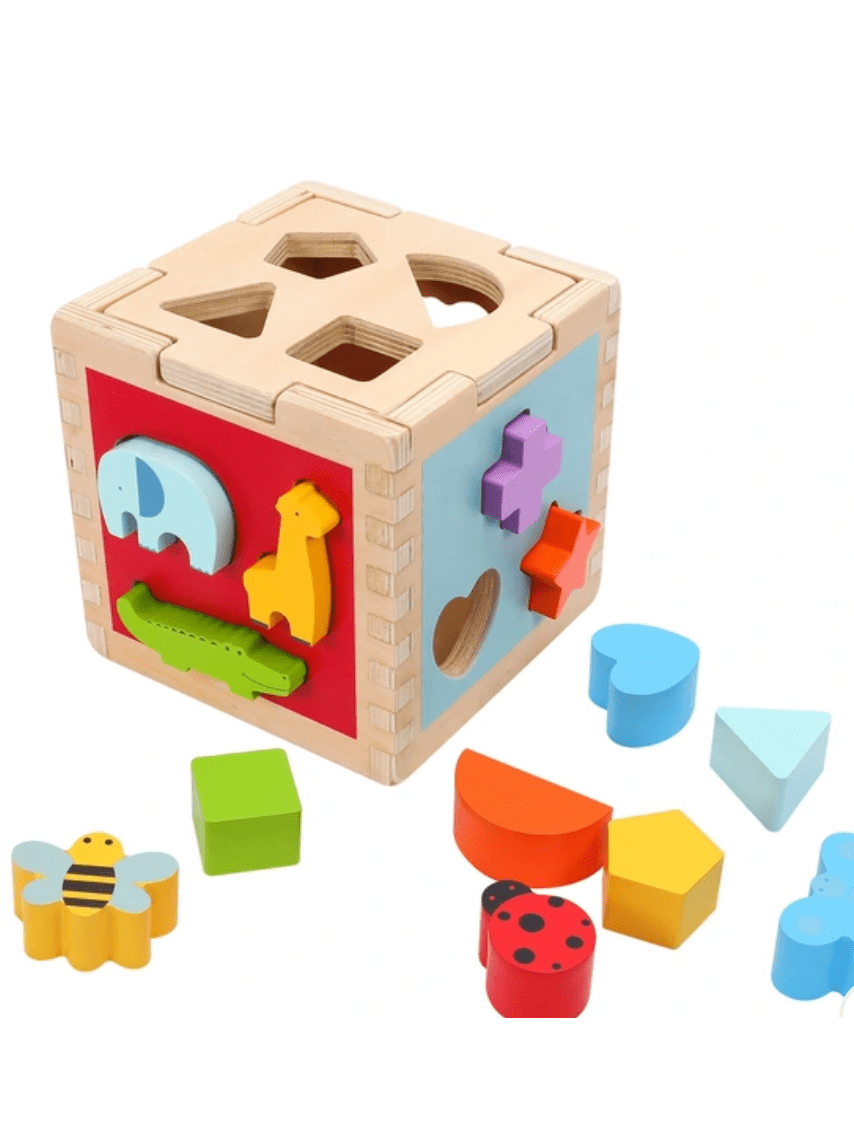 Squirrel Play Wooden Sorting Cube