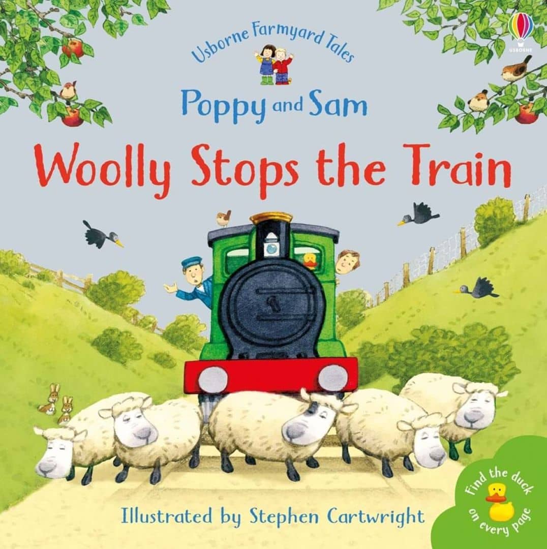 Wolly Stops the train - Stephen Cartwright (Paperback)