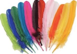 Feather (15-20cm length, 10pc in one packAssorted Colours)